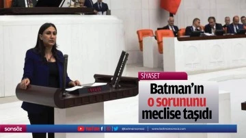 Batman&rsquo;ın o sorununu meclise taşıdı