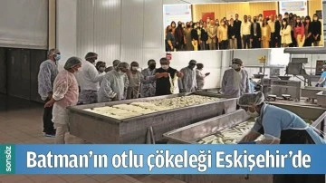 BATMAN&rsquo;IN OTLU &Ccedil;&Ouml;KELEĞİ ESKİŞEHİR&rsquo;DE