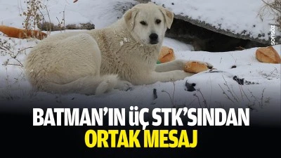 Batman&rsquo;ın &uuml;&ccedil; STK&rsquo;sından ortak mesaj