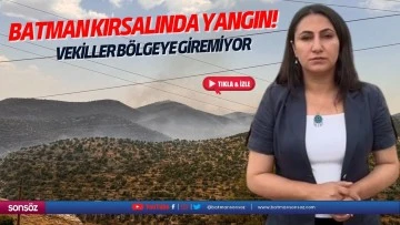 Batman kırsalında yangın!
