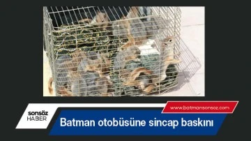 Batman otob&uuml;s&uuml;ne sincap baskını