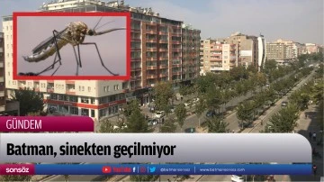 Batman, sinekten ge&ccedil;ilmiyor