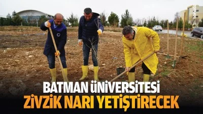 Batman &Uuml;niversitesi, zivzik narı yetiştirecek