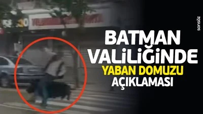 Batman Valiliğinde yaban domuzu a&ccedil;ıklaması