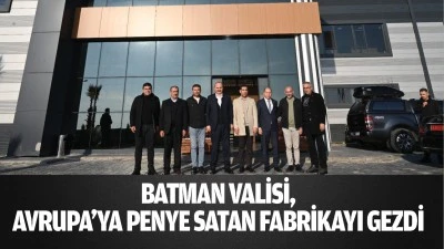 Batman Valisi, Avrupa&rsquo;ya penye satan fabrikayı gezdi