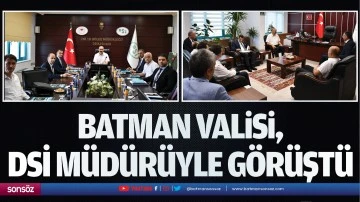 Batman Valisi, DSİ m&uuml;d&uuml;r&uuml;yle g&ouml;r&uuml;şt&uuml;