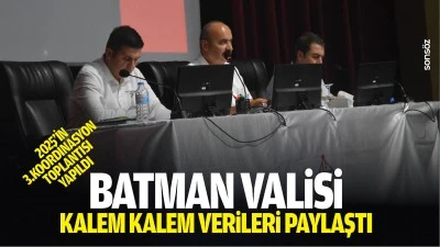 Batman Valisi, kalem kalem verileri paylaştı