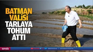 Batman Valisi, tarlaya tohum attı