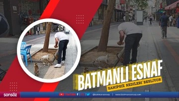 Batmanlı esnaf, sahipsiz kedileri besliyor
