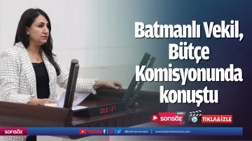 Batmanlı Vekil, B&uuml;t&ccedil;e Komisyonunda konuştu