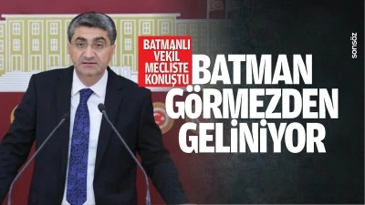 Batmanlı Vekil, mecliste konuştu; &ldquo;Batman g&ouml;rmezden geliniyor&rdquo;