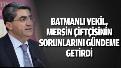 Batmanlı Vekil, Mersin &Ccedil;ift&ccedil;isinin sorunlarını g&uuml;ndeme getirdi