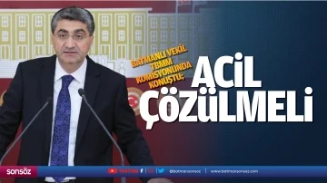 Batmanlı Vekil, TBMM komisyonunda konuştu; &ldquo;Acil &ccedil;&ouml;z&uuml;lmeli&rdquo;