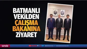 Batmanlı Vekilden &Ccedil;alışma Bakanına ziyaret