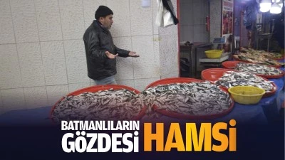 Batmanlıların g&ouml;zdesi hamsi&hellip;