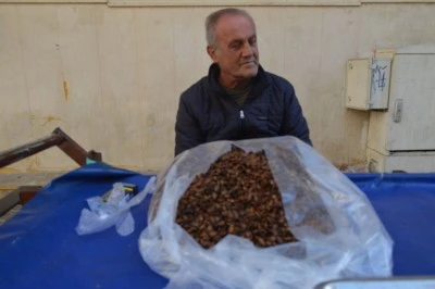 Batmanlıların g&ouml;zdesi, karpuz &ccedil;ekirdeği