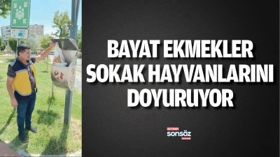 Bayat ekmekler, sokak hayvanlarını doyuruyor