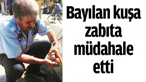 BAYILAN KUŞA ZABITA M&Uuml;DAHALE ETTİ