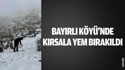 Bayırlı K&ouml;y&uuml;&rsquo;nde kırsala yem bırakıldı