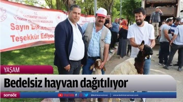 Bedelsiz hayvan dağıtılıyor