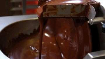 Bel&ccedil;ika'da yine salmonella vakası tespit edildi