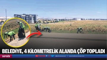 Belediye, 4 kilometrelik alanda &ccedil;&ouml;p topladı