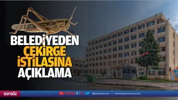 Belediyeden &ccedil;ekirge istilasına a&ccedil;ıklama