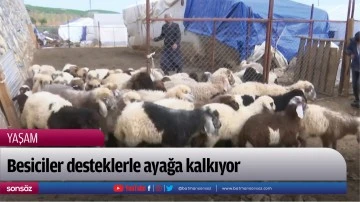 Besiciler desteklerle ayağa kalkıyor