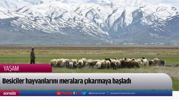 Besiciler hayvanlarını meralara &ccedil;ıkarmaya başladı