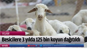 Besicilere 3 yılda 125 bin koyun dağıtıldı