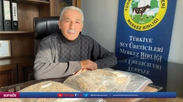 Besicilere yem desteği verilecek
