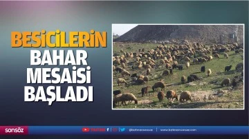 Besicilerin bahar mesaisi başladı