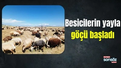 Besicilerin yayla g&ouml;&ccedil;&uuml; başladı