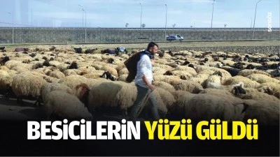 Besicilerin y&uuml;z&uuml; g&uuml;ld&uuml;