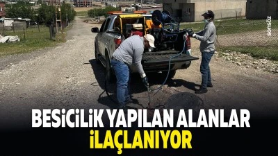 Besicilik yapılan alanlar ila&ccedil;lanıyor
