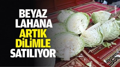 Beyaz lahana artık dilimle satılıyor