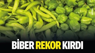 Biber rekor kırdı