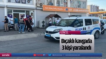 Bı&ccedil;aklı kavgada 3 kişi yaralandı