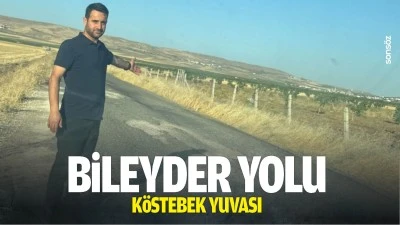Bileyder yolu k&ouml;stebek yuvası