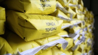 Bing&ouml;l'de &ccedil;ift&ccedil;ilere y&uuml;zde 70 hibeyle mısır ve yonca tohumu dağıtıldı