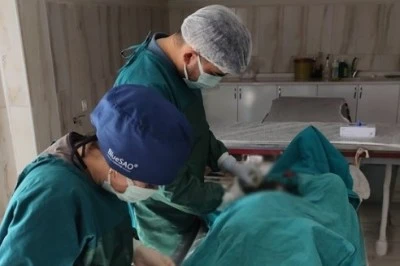 Bir k&ouml;peğin meme b&ouml;lgesindeki 1 kiloluk t&uuml;m&ouml;r ameliyatla alındı