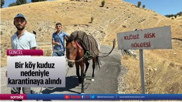 Bir k&ouml;y kuduz nedeniyle karantinaya alındı
