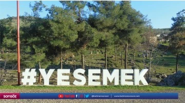 Bir yılda 7 bin ziyaret&ccedil;i
