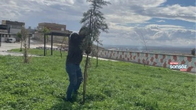 Birecik Belediyesi'nden park ve bah&ccedil;elerde d&uuml;zenleme