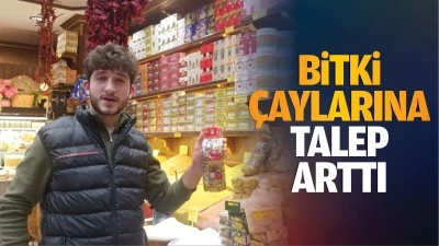 Bitki &ccedil;aylarına talep arttı