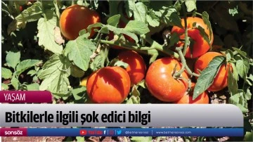 Bitkilerle ilgili şok edici bilgi