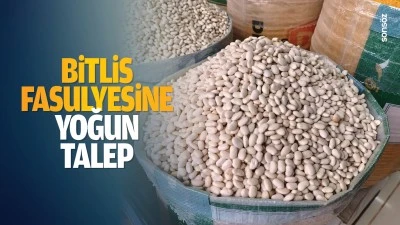 Bitlis fasulyesine yoğun talep&hellip;
