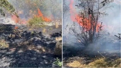 Bitlis'te mezarlıkta &ccedil;ıkan yangın kontrol altına alındı