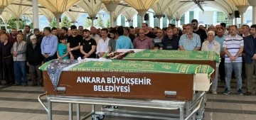 B&ouml;cek ilacı can aldı