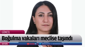 Boğulma vakaları meclise taşındı
